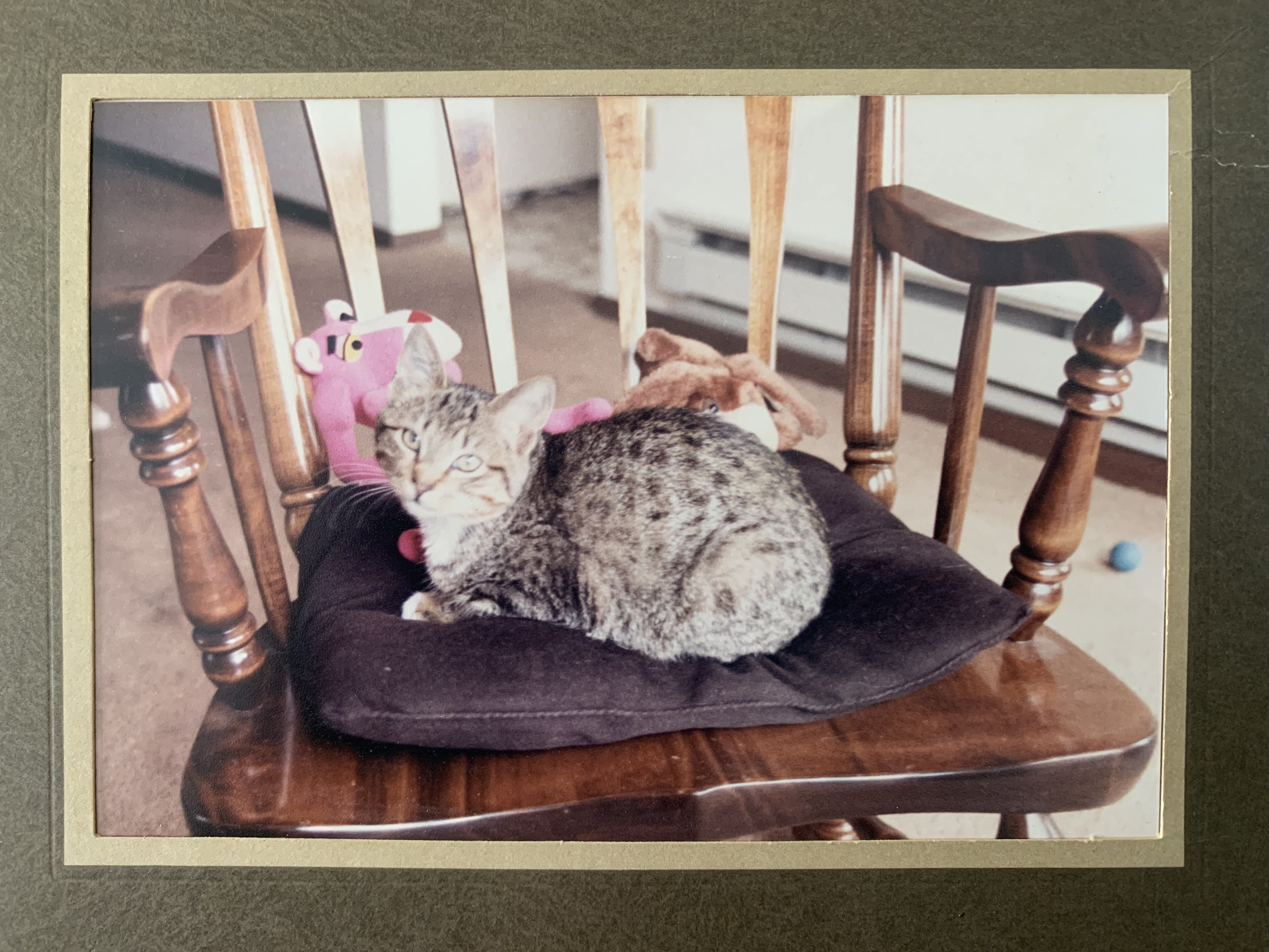 Charm 1988 with her Pink Panther