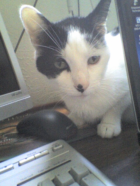 Villain 2 sitting beside computer while Rico writes